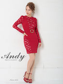Andy/AN-OK2500/ワンピース/ミニドレス/ワンカラー/レース/タイトワンピース/袖あり/長袖