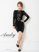 Andy/AN-OK2500/ワンピース/ミニドレス/ワンカラー/レース/タイトワンピース/袖あり/長袖