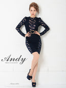 Andy/AN-OK2500/ワンピース/ミニドレス/ワンカラー/レース/タイトワンピース/袖あり/長袖