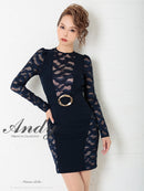 Andy/AN-OK2500/ワンピース/ミニドレス/ワンカラー/レース/タイトワンピース/袖あり/長袖