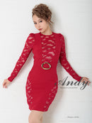 Andy/AN-OK2500/ワンピース/ミニドレス/ワンカラー/レース/タイトワンピース/袖あり/長袖