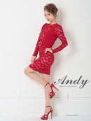 Andy/AN-OK2500/ワンピース/ミニドレス/ワンカラー/レース/タイトワンピース/袖あり/長袖
