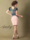 Andy/AN-OK2505/ワンピース/ミニドレス/ツートンカラー/タイトワンピース