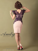 Andy/AN-OK2505/ワンピース/ミニドレス/ツートンカラー/タイトワンピース