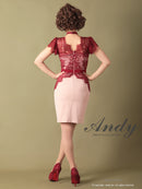 Andy/AN-OK2505/ワンピース/ミニドレス/ツートンカラー/タイトワンピース