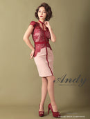 Andy/AN-OK2505/ワンピース/ミニドレス/ツートンカラー/タイトワンピース