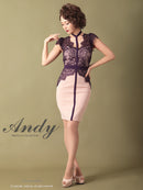 Andy/AN-OK2505/ワンピース/ミニドレス/ツートンカラー/タイトワンピース