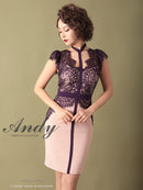 Andy/AN-OK2505/ワンピース/ミニドレス/ツートンカラー/タイトワンピース