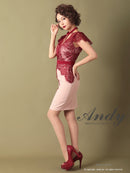 Andy/AN-OK2505/ワンピース/ミニドレス/ツートンカラー/タイトワンピース