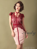 Andy/AN-OK2505/ワンピース/ミニドレス/ツートンカラー/タイトワンピース