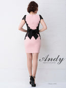 Andy/AN-OK2529/ナイトドレス/キャバドレス/ドレス/ワンピース/ミニドレス/レース/ウエストリボン/タイト/袖あり/SALE/セール