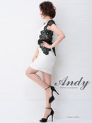 Andy/AN-OK2529/ナイトドレス/キャバドレス/ドレス/ワンピース/ミニドレス/レース/ウエストリボン/タイト/袖あり/SALE/セール