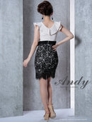 Andy/AN-OK2531/ワンピース/ミニドレス/レース/フリル/Vネック/切替ワンピース