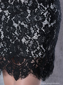 Andy/AN-OK2531/ワンピース/ミニドレス/レース/フリル/Vネック/切替ワンピース