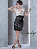 Andy/AN-OK2531/ワンピース/ミニドレス/レース/フリル/Vネック/切替ワンピース