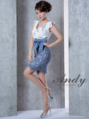 Andy/AN-OK2531/ワンピース/ミニドレス/レース/フリル/Vネック/切替ワンピース