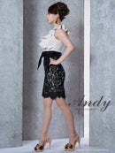 Andy/AN-OK2531/ワンピース/ミニドレス/レース/フリル/Vネック/切替ワンピース