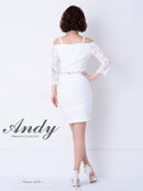 Andy/AN-OK2539/ワンピース/ミニドレス/レース/袖あり