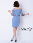 Andy/AN-OK2539/ワンピース/ミニドレス/レース/袖あり