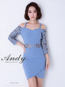 Andy/AN-OK2539/ワンピース/ミニドレス/レース/袖あり