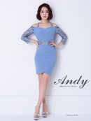 Andy/AN-OK2539/ワンピース/ミニドレス/レース/袖あり