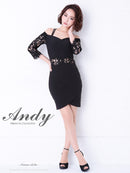 Andy/AN-OK2539/ワンピース/ミニドレス/レース/袖あり