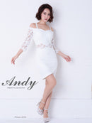 Andy/AN-OK2539/ワンピース/ミニドレス/レース/袖あり