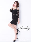 Andy/AN-OK2539/ワンピース/ミニドレス/レース/袖あり