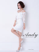 Andy/AN-OK2539/ワンピース/ミニドレス/レース/袖あり