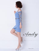 Andy/AN-OK2539/ワンピース/ミニドレス/レース/袖あり