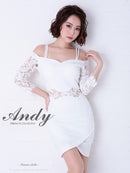 Andy/AN-OK2539/ワンピース/ミニドレス/レース/袖あり