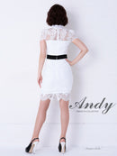 Andy/AN-OK2540/キャバドレス/総レース/ブローチ付き/タイトワンピース/袖あり
