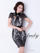 Andy/AN-OK2540/キャバドレス/総レース/ブローチ付き/タイトワンピース/袖あり