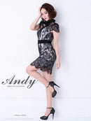 Andy/AN-OK2540/キャバドレス/総レース/ブローチ付き/タイトワンピース/袖あり