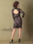 Andy/AN-OK2550/ワンピース/ミニドレス/ワンカラー/総レース/タイトワンピース/袖あり