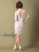 Andy/AN-OK2550/ワンピース/ミニドレス/ワンカラー/総レース/タイトワンピース/袖あり