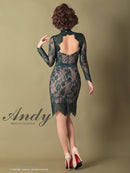 Andy/AN-OK2550/ワンピース/ミニドレス/ワンカラー/総レース/タイトワンピース/袖あり