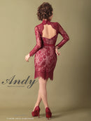 Andy/AN-OK2550/ワンピース/ミニドレス/ワンカラー/総レース/タイトワンピース/袖あり