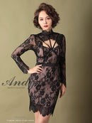 Andy/AN-OK2550/ワンピース/ミニドレス/ワンカラー/総レース/タイトワンピース/袖あり