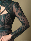 Andy/AN-OK2550/ワンピース/ミニドレス/ワンカラー/総レース/タイトワンピース/袖あり