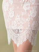 Andy/AN-OK2550/ワンピース/ミニドレス/ワンカラー/総レース/タイトワンピース/袖あり