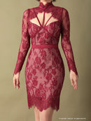 Andy/AN-OK2550/ワンピース/ミニドレス/ワンカラー/総レース/タイトワンピース/袖あり