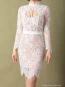 Andy/AN-OK2550/ワンピース/ミニドレス/ワンカラー/総レース/タイトワンピース/袖あり