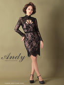 Andy/AN-OK2550/ワンピース/ミニドレス/ワンカラー/総レース/タイトワンピース/袖あり