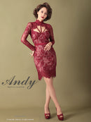 Andy/AN-OK2550/ワンピース/ミニドレス/ワンカラー/総レース/タイトワンピース/袖あり