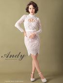 Andy/AN-OK2550/ワンピース/ミニドレス/ワンカラー/総レース/タイトワンピース/袖あり