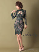 Andy/AN-OK2550/ワンピース/ミニドレス/ワンカラー/総レース/タイトワンピース/袖あり