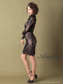 Andy/AN-OK2550/ワンピース/ミニドレス/ワンカラー/総レース/タイトワンピース/袖あり