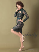 Andy/AN-OK2550/ワンピース/ミニドレス/ワンカラー/総レース/タイトワンピース/袖あり