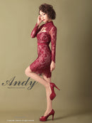 Andy/AN-OK2550/ワンピース/ミニドレス/ワンカラー/総レース/タイトワンピース/袖あり